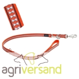 Hundeleine reflective in orange von RedDingo (Gr: S-M-L)