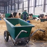 Zweiradschubkarre/Transportwagen JFCAGRI 255 L