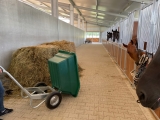 Kippschubkarre JFCAGRI 250 L Grün oder Blau
